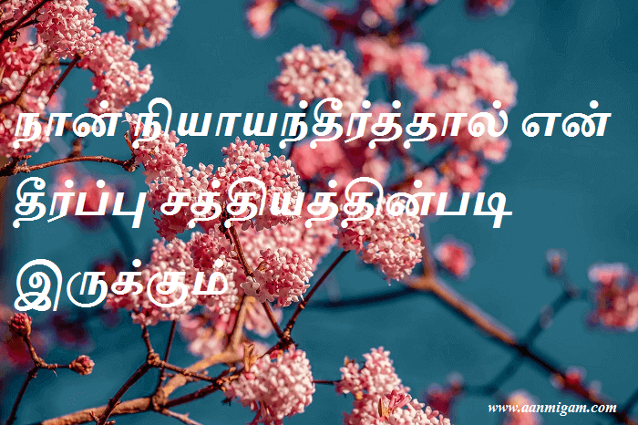 நான் நியாயந்தீர்த்தால் என் தீர்ப்பு சத்தியத்தின்படி இருக்கும்