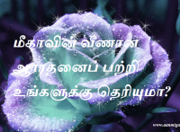 மீகாவின் வீணான ஆராதனைப் பற்றிய உங்களுக்கு தெரியுமா