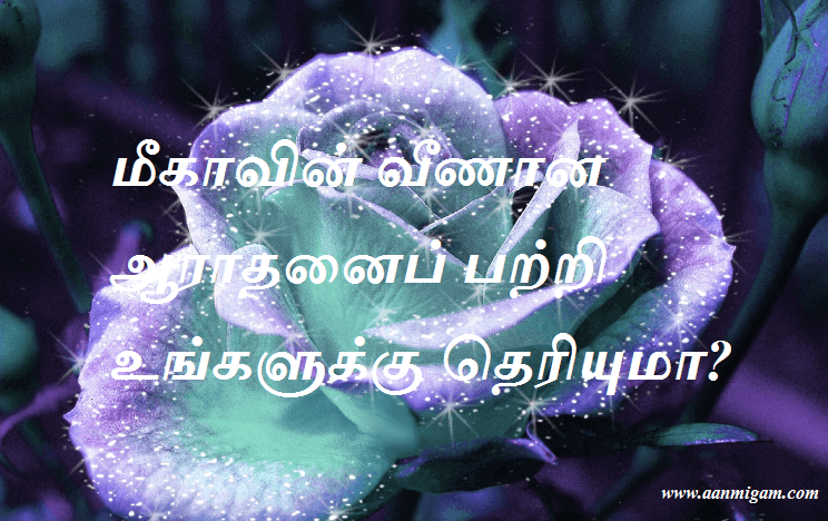 மீகாவின் வீணான ஆராதனைப் பற்றிய உங்களுக்கு தெரியுமா