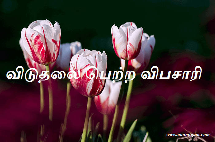 விடுதலை பெற்ற விபசாரி