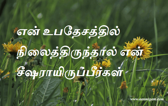 என் உபதேசத்தில் நிலைத்திருந்தால் என் சீஷராயிருப்பீர்கள்