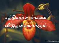 சத்தியம் உங்களை விடுதலையாக்கும்.