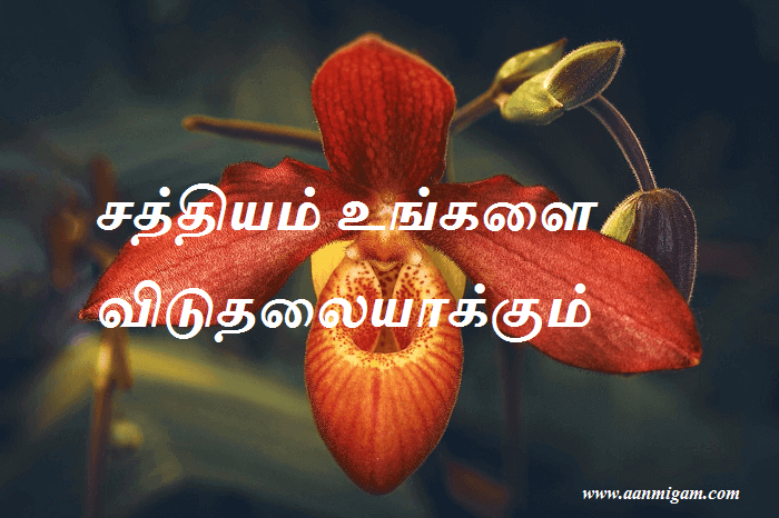 சத்தியம் உங்களை விடுதலையாக்கும்.