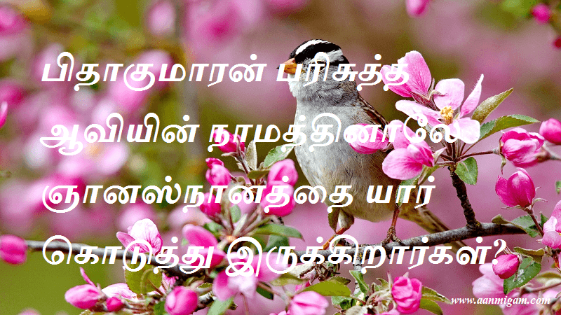 பிதாகுமாரன் பரிசுத்த ஆவியின் நாமத்தினாலே ஞானஸ்நானத்தை யார் கொடுத்து இருக்கிறார்கள்