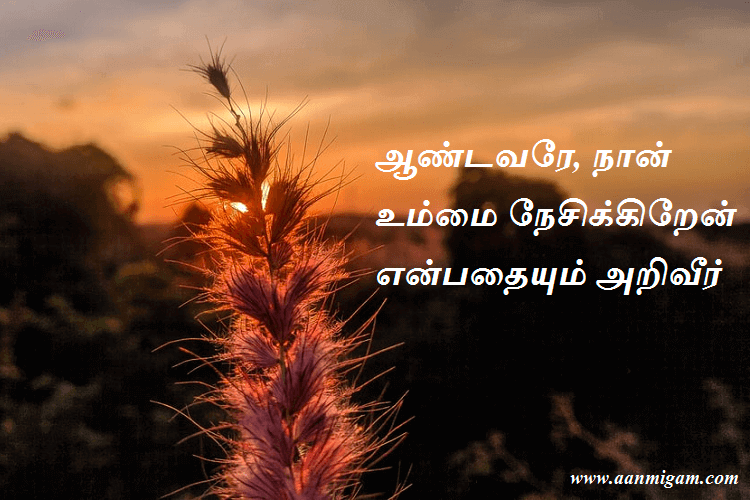 ஆண்டவரே, நான் உம்மை நேசிக்கிறேன் என்பதையும் அறிவீர்