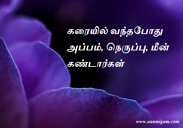 கரையில் வந்தபோது அப்பம், நெருப்பு, மீன் கண்டார்கள்